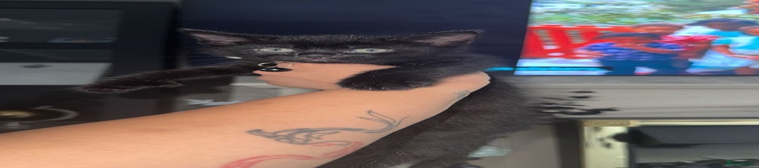 Scar