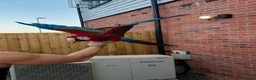 Macaws birds for sale: Male Green-winged Macaw – complete setup in Milton Keynes - Advert 2