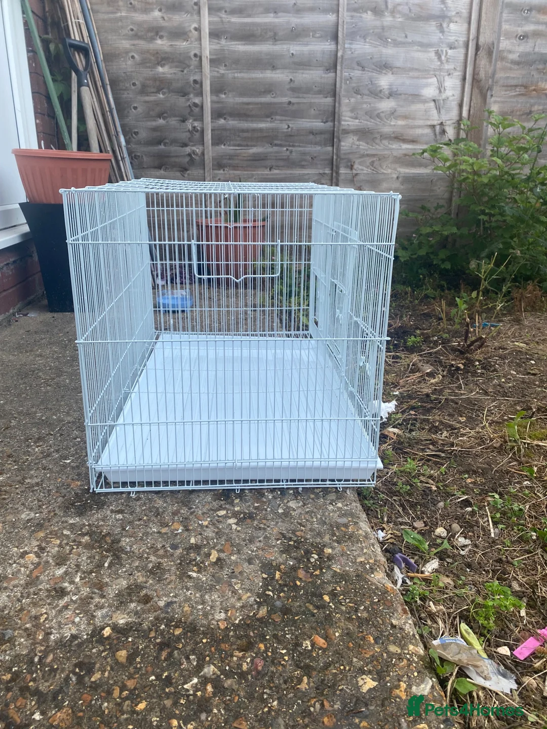 Mixed Breed birds for sale: Cage for sale ideal for small birds - Advert 6