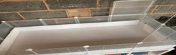 Guinea Pig rodents for sale: 2 Guinea pigs & cage+supplies - Advert 19