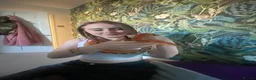 Corn Snake reptiles for sale: Corn snake in Newton Abbot - Advert 3