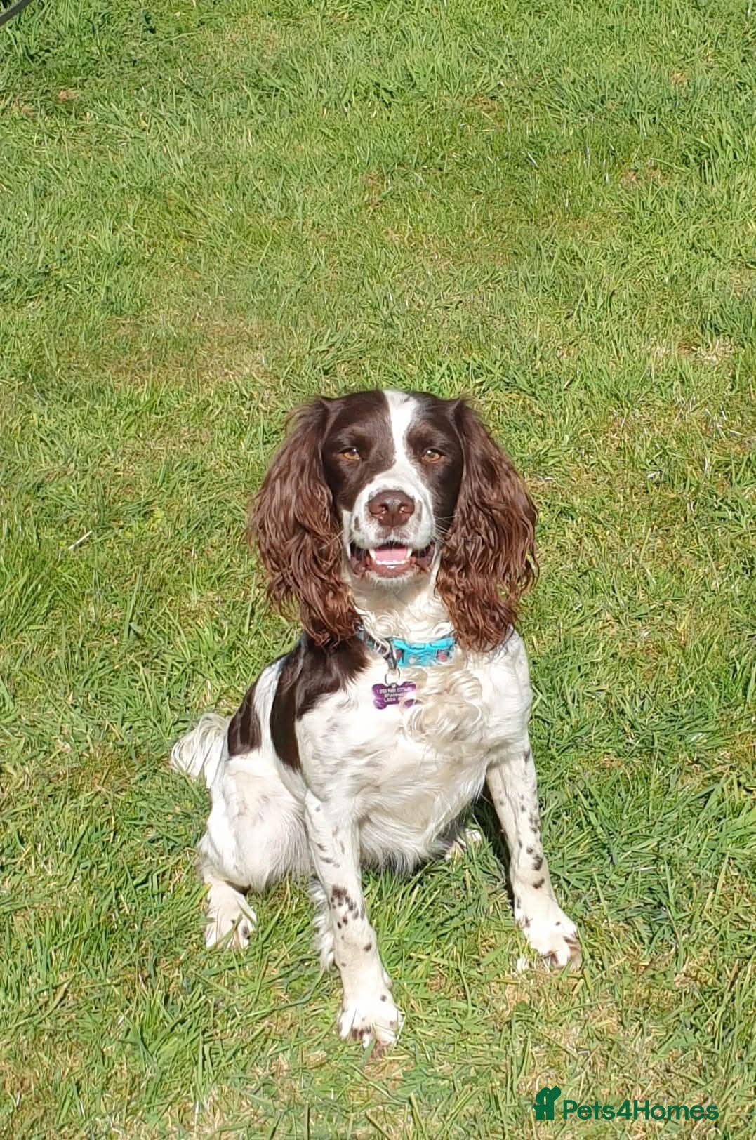 Max
