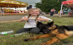 German Shepherd dogs for sale: German shepherd puppies  - Image 5