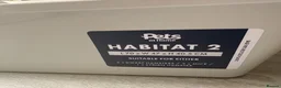 Mouse rodents for sale: Grey & white baby male mouse with cage for sale - Advert 3