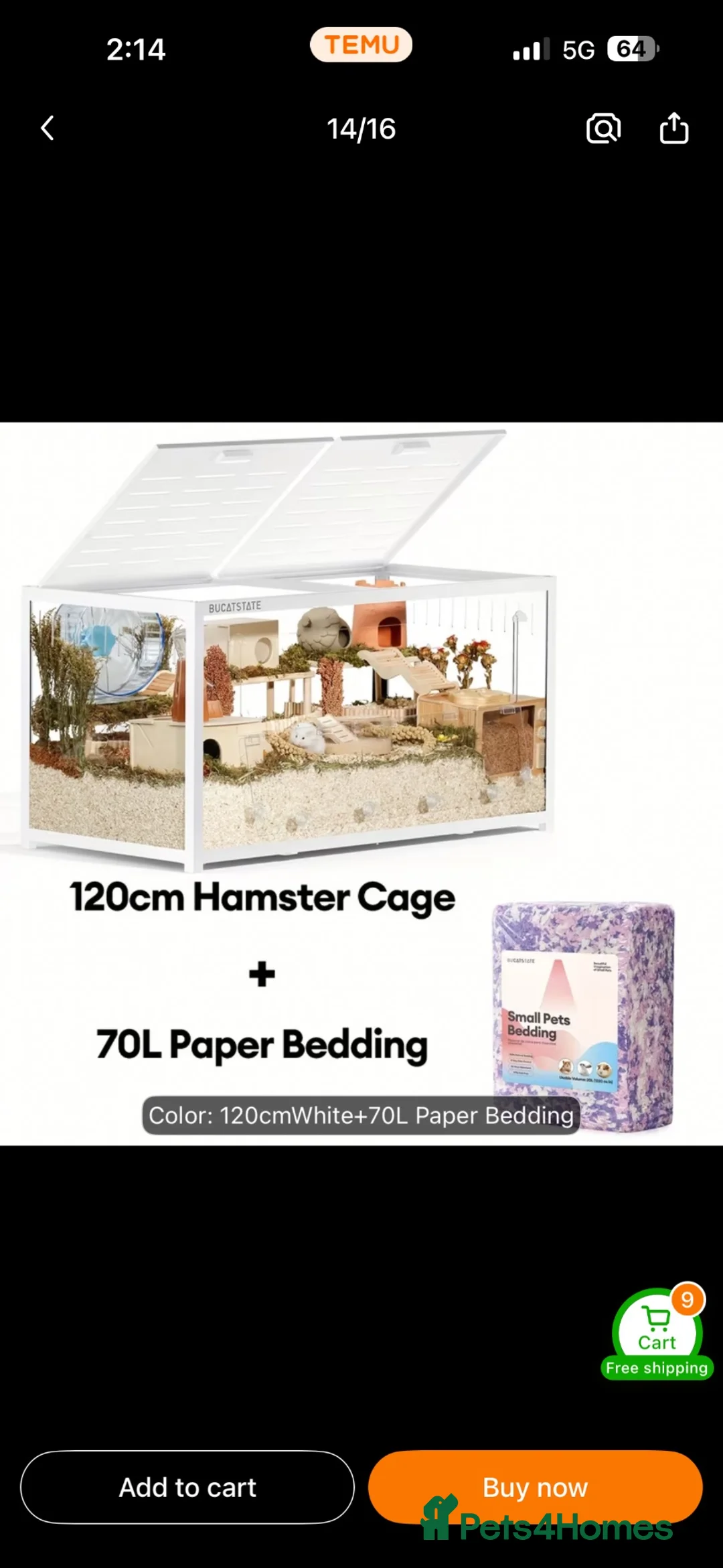 Hamster rodents for sale: Hamster and cage  - Advert 2