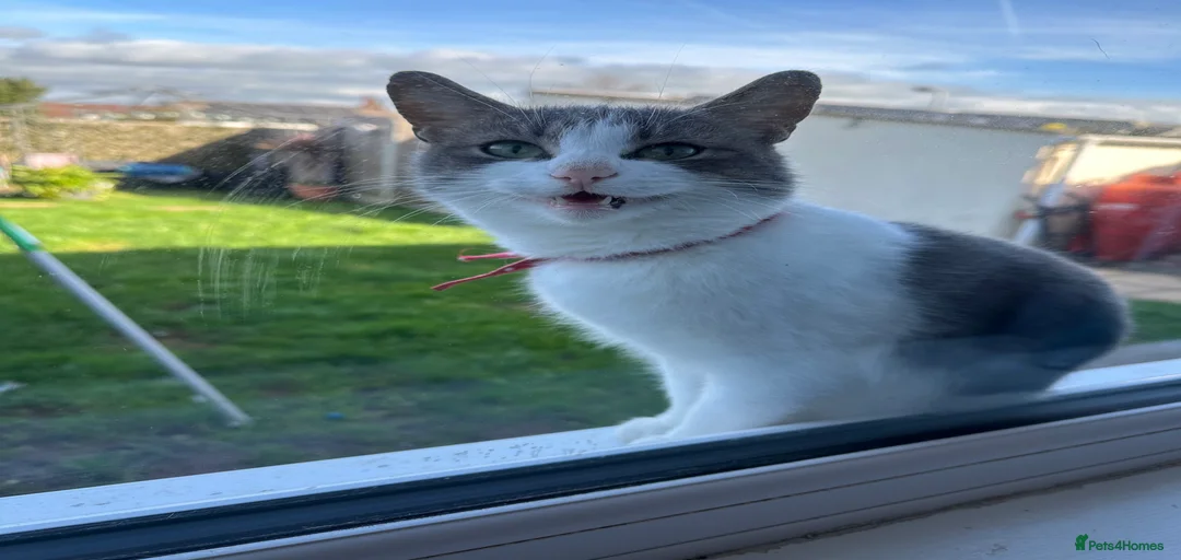 Gallery Image {{count}}