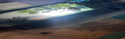 Axolotl reptiles for sale: 3 axolotls  - Advert 1