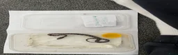 Corn Snake reptiles for sale: Corn Snakes - Advert 3