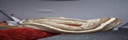 Python Snake reptiles for sale: Female Ball python - Advert 2