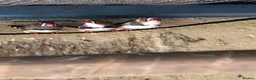Finches birds for sale: MIXED FINCHES  in Coalville - Advert 3