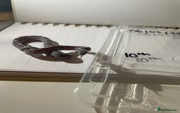 Corn Snake reptiles for sale: various baby corns avaliable  - Image 1