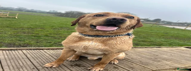 Marley