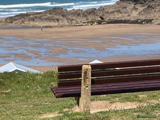 Staffordshire Bull Terrier dogs in Gravesend - Advert 11