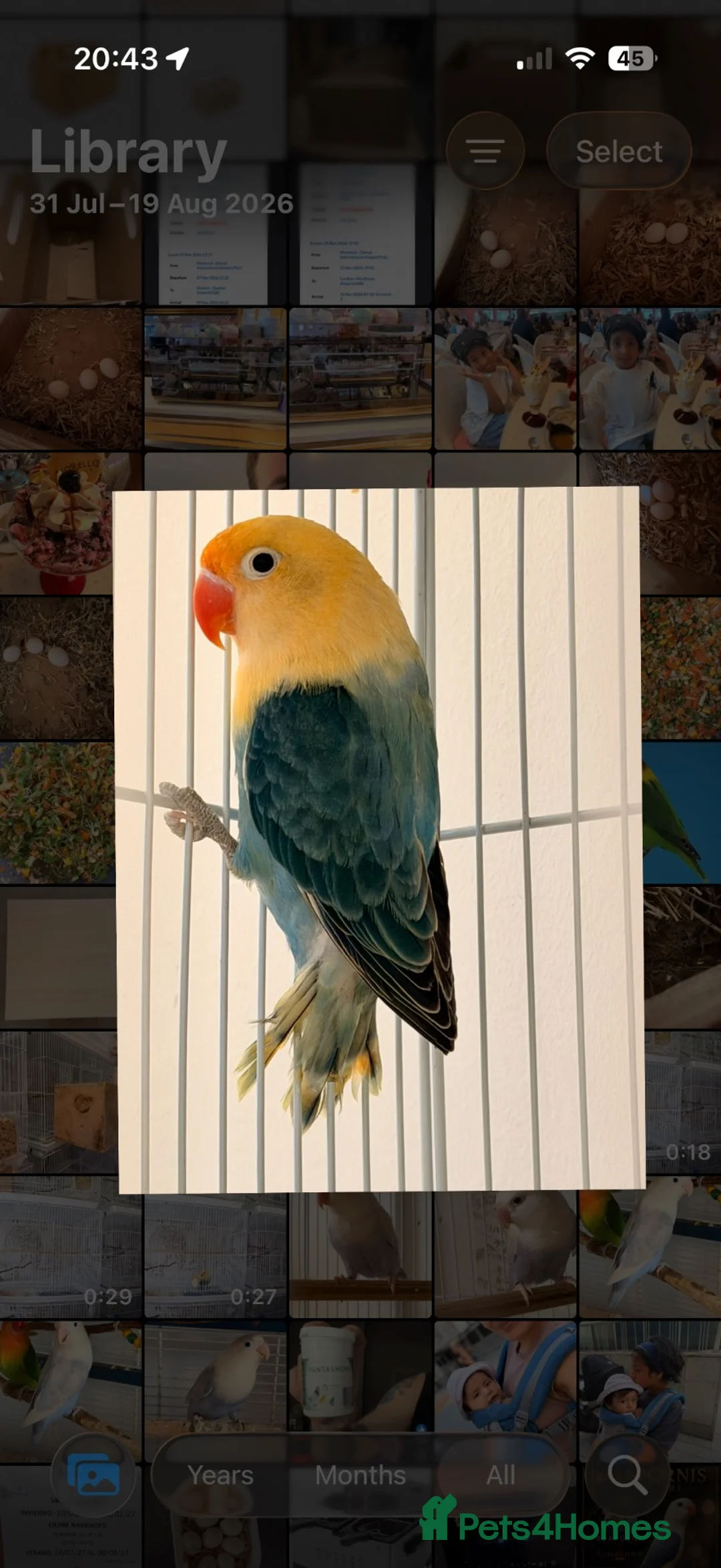 Gallery Image {{count}}