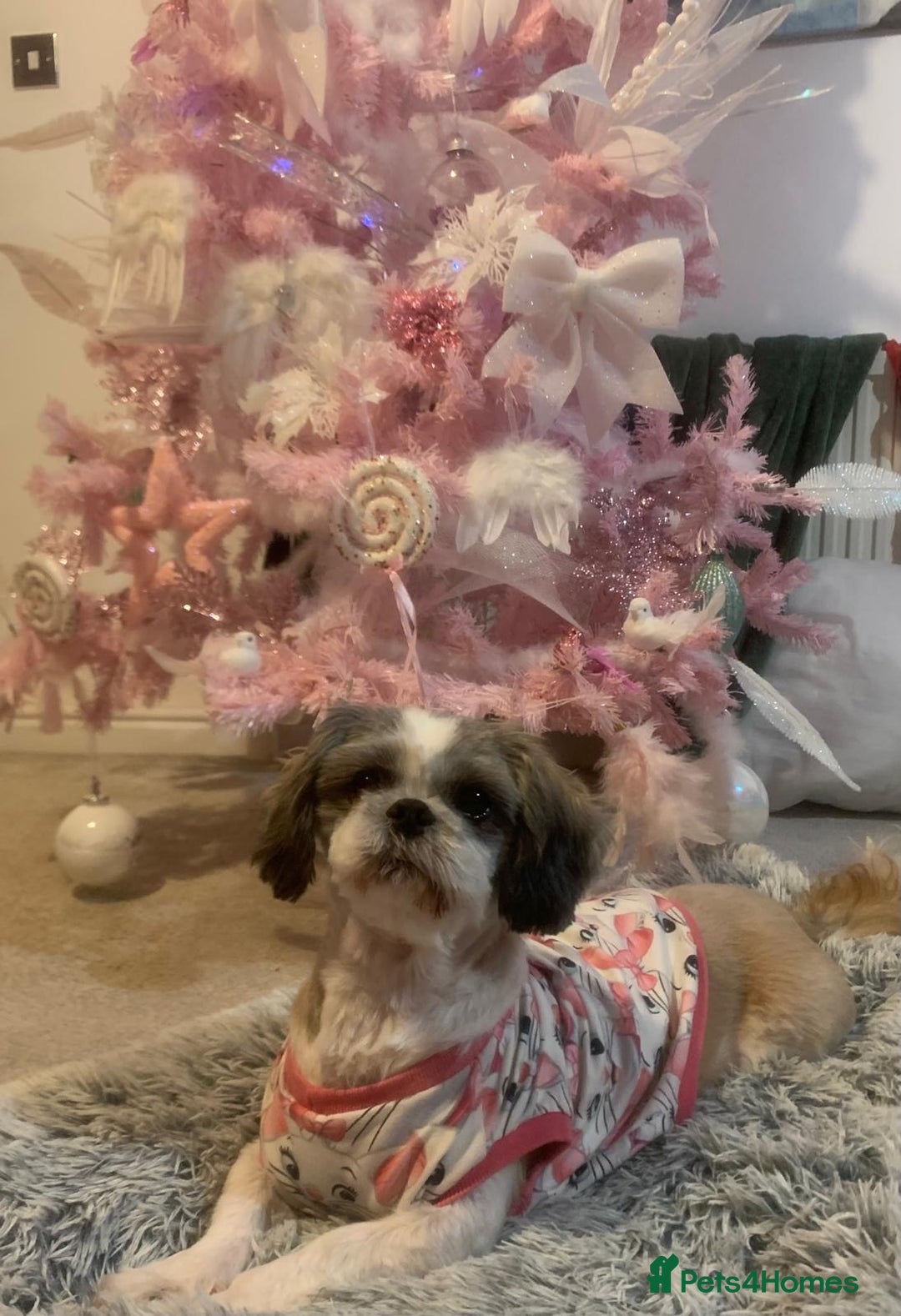 Gallery Image {{count}}