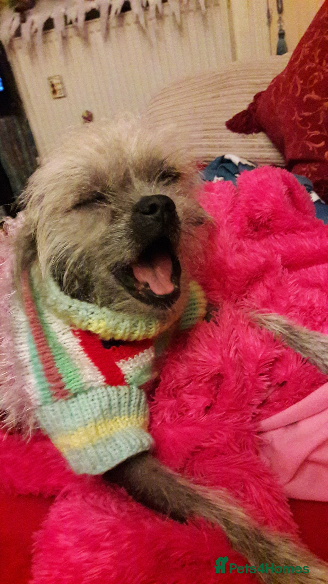 Gallery Image {{count}}