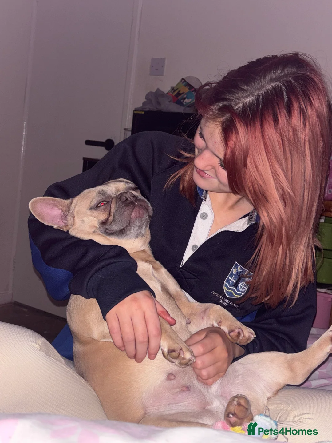 Gallery Image {{count}}