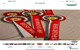 Yorkshire Terrier dogs for sale: Absolutely adorable mini yorkie puppies  - Image 16