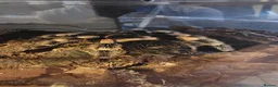 Tarantulas invertebrates for sale: Mexican Red-Knee Tarantula – Approx. 4 Years Old - Advert 2