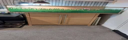 Tortoise reptiles for sale: Horsefeld tortoise & encloser &stand  in Irvine - Advert 6