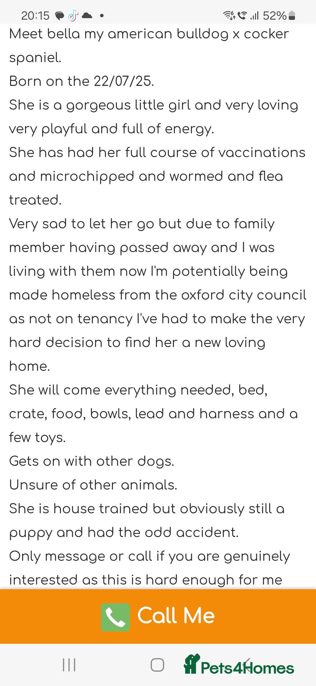 Mixed Breed dogs for sale: American cocker spaniel x american bulldog a.i - Advert 5