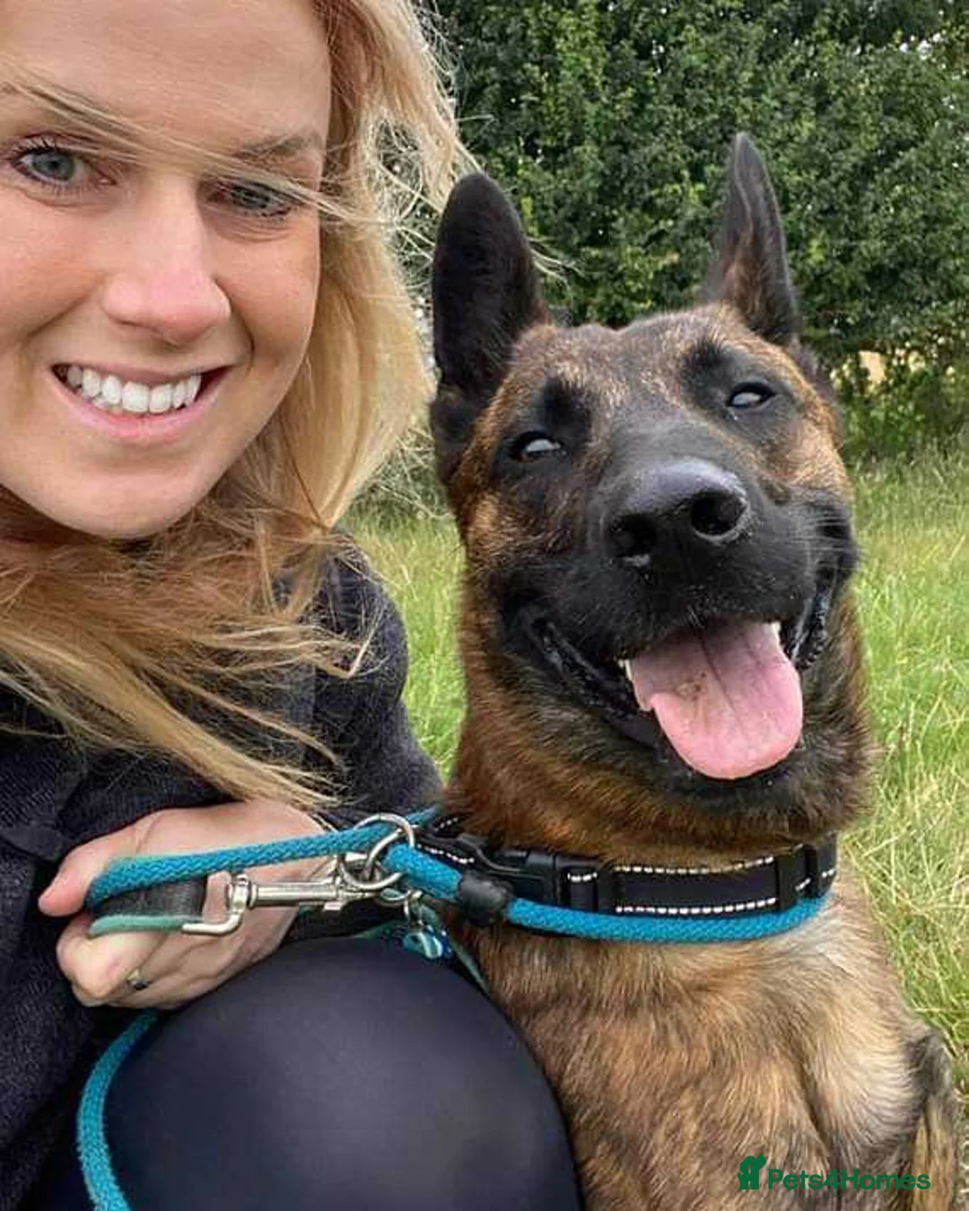 Mixed Breed dogs for adoption: BEAUTIFUL BUZZ  - Advert 6