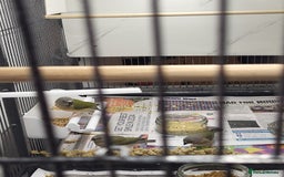 Finches birds for sale: Young Gouldian finches - Image 7