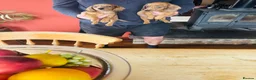 Dachshund dogs for sale: Stunning litter of dachshund pups  - Advert 10