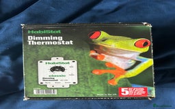 Leopard Gecko reptiles for sale: Male leopard gecko and all equipment  - Image 6