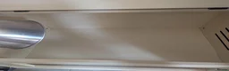 Pygmy Hedgehog rodents for sale: Male African Pygmy hedgehog  - Advert 12