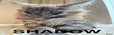SHADOW