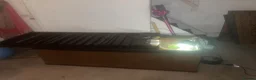 Turtle reptiles for sale: 3 Year old Russian turtle (horsfeild turtle) - Advert 5