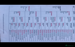 Cocker Spaniel dogs for stud: FTW Cocker At Stud  - Image 3