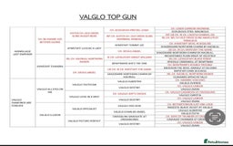 Staffordshire Bull Terrier dogs for sale: LAST ONE🥇VALGLO BLOODLINE SHORT STOCKY STAFFS 🏆 - Image 18