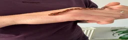 Corn Snake reptiles for sale: Het Palmetto Corn Snake in Sittingbourne - Advert 9