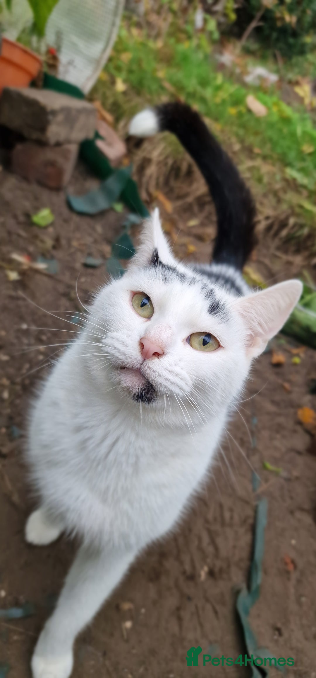 Gallery Image {{count}}