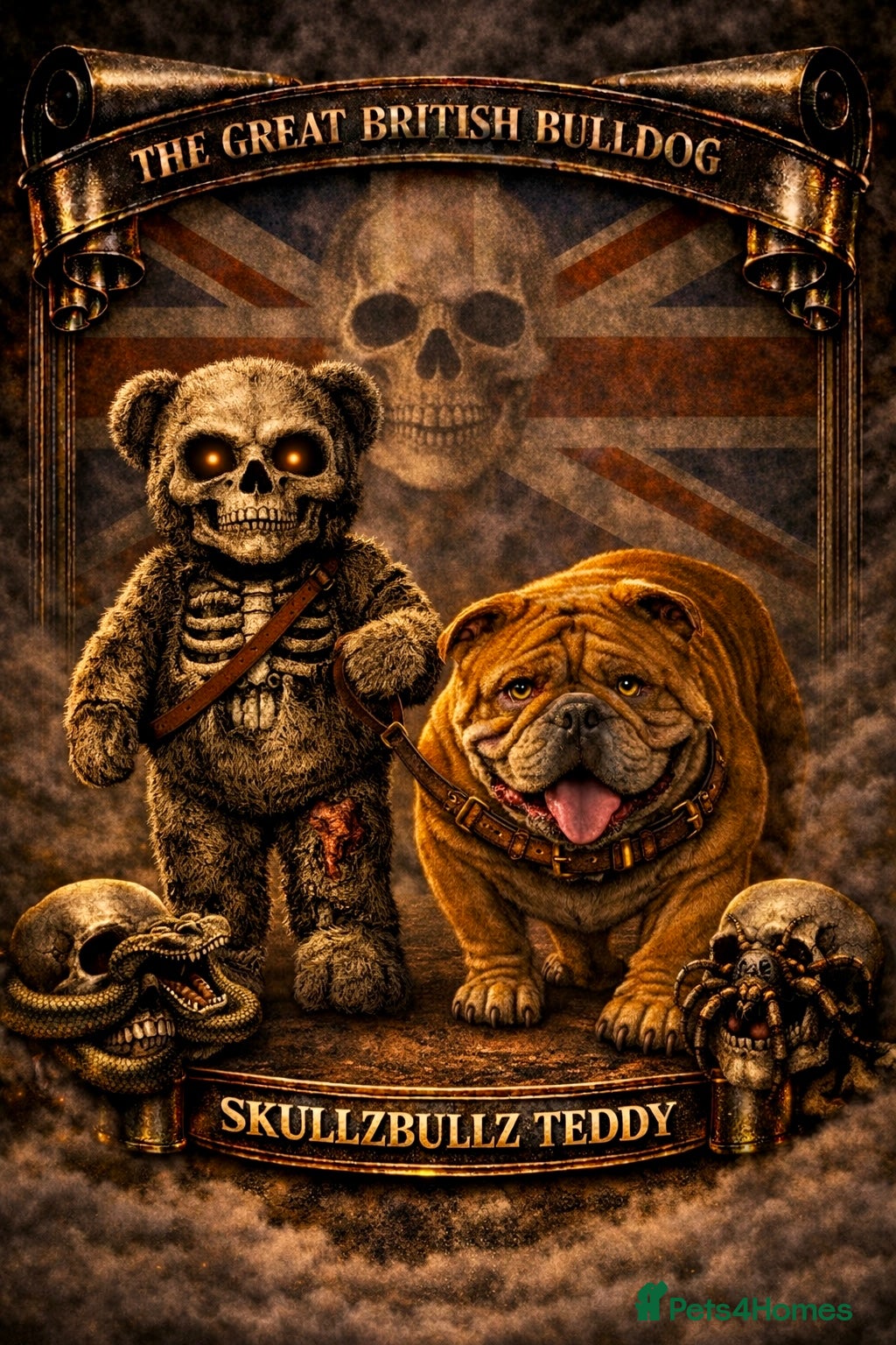 English Bulldog dogs Fluffy carrier British bulldog stud  - Advert 2