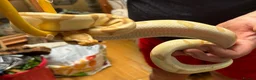 Snake reptiles for sale: Mixed Snakes - Advert 26