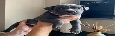 Girl 1