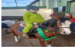 Welsh Section B horses for sale: 5yr old Welsh mountain pony - Advert 2
