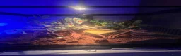 Corn Snake reptiles for sale: 2x corn snakes 1x mourning gecko with full setups - Advert 2