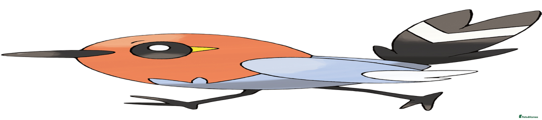 BBBB112