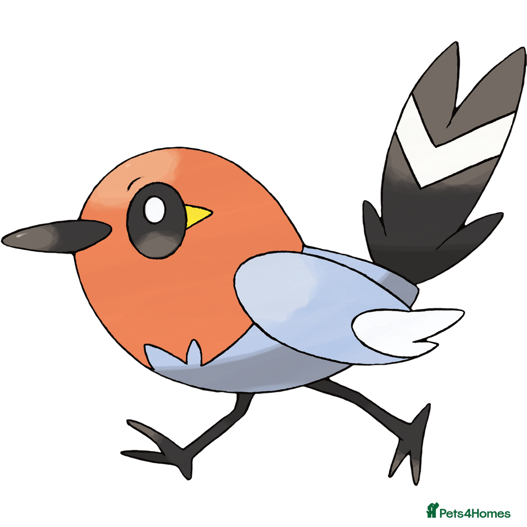 Alapaha Blue Blood Bulldog dogs for sale: Porttitor leo vendor dolor vendor - Advert 4