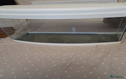 Angelfish fish for sale: New fish tank filters pumps heater other items - Advert 2