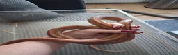 Corn Snake reptiles for sale: Various corn snakes for sale, Snow Tessera & more - Advert 23