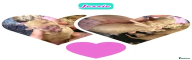 Jessie Pink