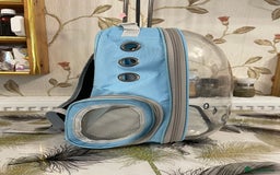 British Shorthair cats for sale: Pet Backpack Carrier Bubble  - Image 4