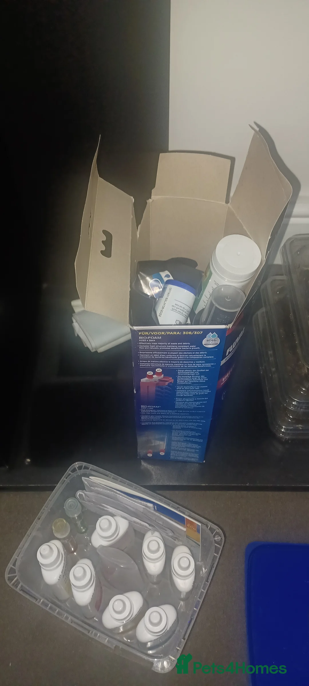 Other/Mixed Breed fish for sale: Two male axolotls  in Stockton-on-Tees - Advert 4