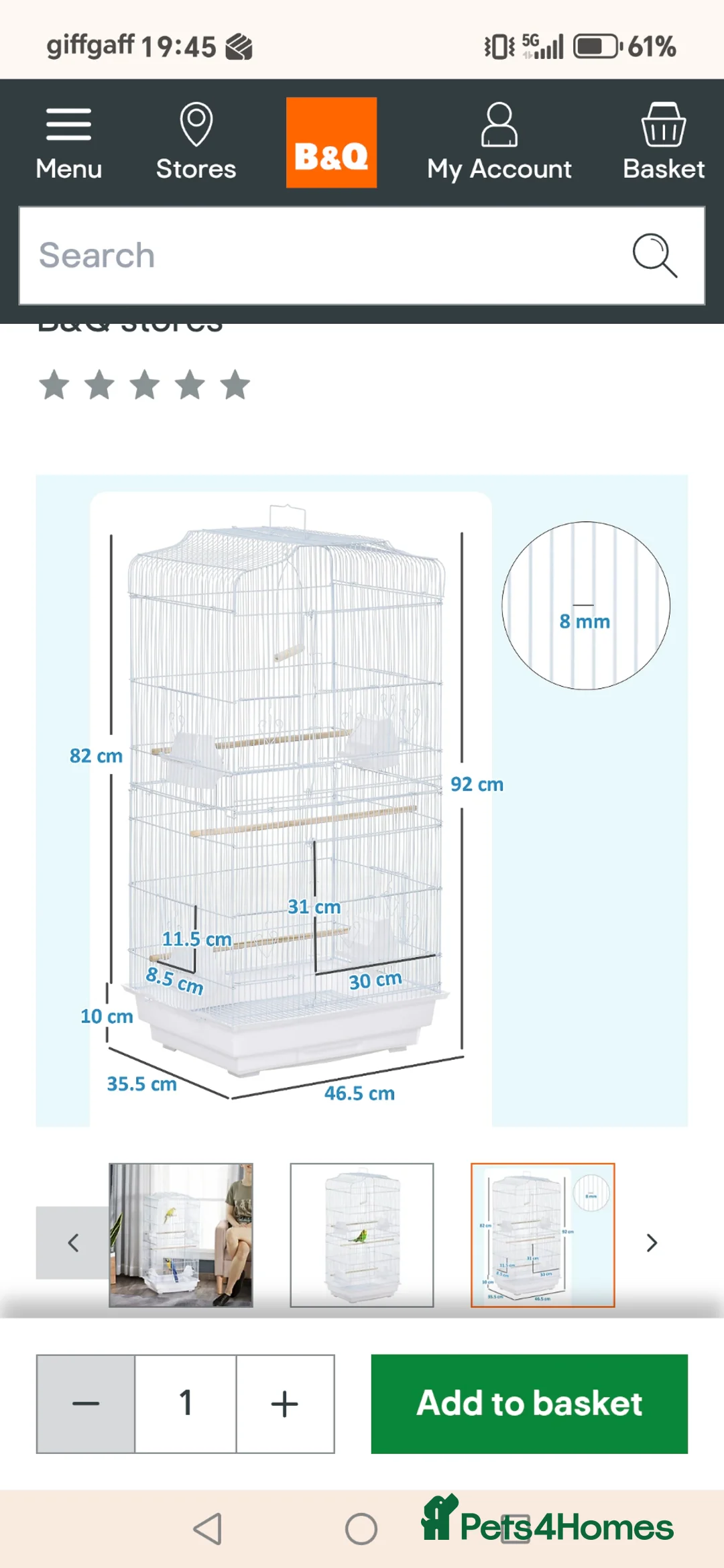Budgerigars birds for sale: 2 young budgies - Advert 2
