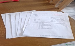 Cockapoo dogs for sale: COCKAPOO F1 EXTENSIVELY DNA HEALTH TESTED - Image 5